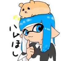 ハムほし🐹🌟 (@rin01kun20) Twitter profile photo