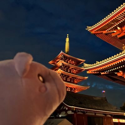 高野。さんのプロフィール画像