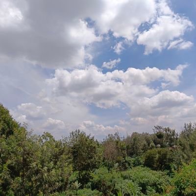 Keyvo_gipsy_'s profile picture. A/C