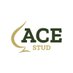 Ace Stud (@acestud_) Twitter profile photo Ace Stud (@acestud_) Twitter profile photo