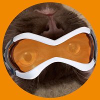Murphy (@murphysmac) 's Twitter Profile