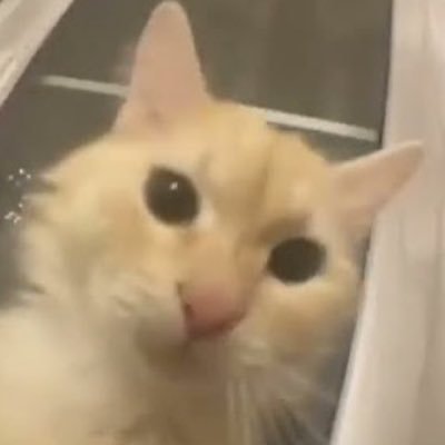 goyangi_kage's profile picture. 26 yo (1998) || She/her || 🇵🇱 || wannabe artist || Crazy about Pathologic || a connoisseur of burakhovsky