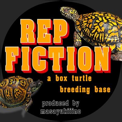 masayukiiino's profile picture. 第1種動物取扱業 第２５０１００３２号 Instagram⬇︎⬇︎⬇︎⬇︎