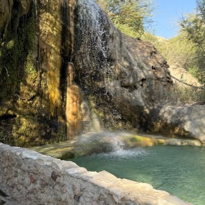 LymwnhAlbl94971's profile picture. 