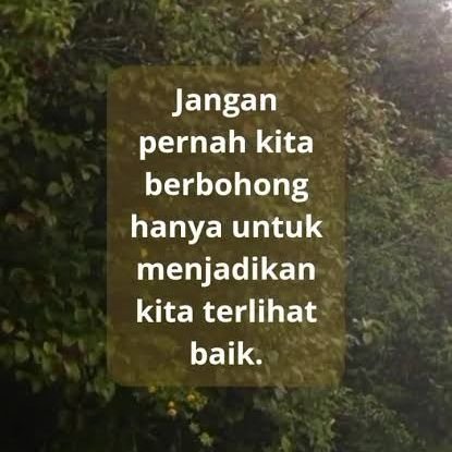 sogokirung's profile picture. 