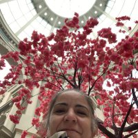 Elif Severcan (@esevercan46) 's Twitter Profile Photo Elif Severcan (@esevercan46) 's Twitter Profile Photo