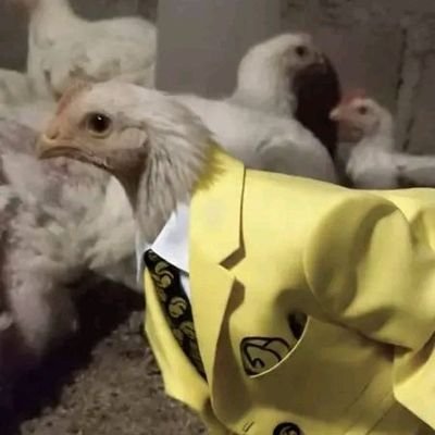 PiccoLoRequiem's profile picture. whoop diddy scoop skibidy whoop diddy scoop