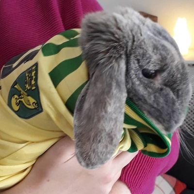Norwich City, Cricket and Boxing fan.
Let's get this 🌎 full of 💩 smiling again 😁