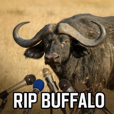 All fees will be used for proposals against the buffalo