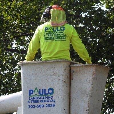 Serving New Haven County, Paulo Landscaping provides reliable landscaping, tree care, snow removal, and masonry services year-round. Contact us today!