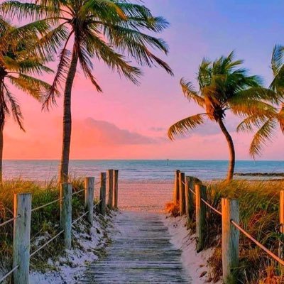 Kristine31565's profile picture. 