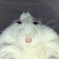 ใใ (@uy2no) 's Twitter Profile Photo ใใ (@uy2no) 's Twitter Profile Photo