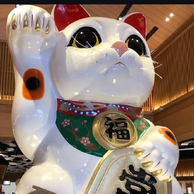 私は料理をするのが大好きで、良いパートナーとキッチンで料理の経験を分かち合うのが大好きです🍴🥩
私も猫が大好きです 🐱 そして犬 🐕そして車 🚗 そして私は旅行が大好きです ✈️🛳️