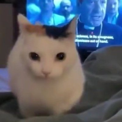 coconutmonn's profile picture. Hi I rlly like mangoes | can some of u adults stop harassing me thx