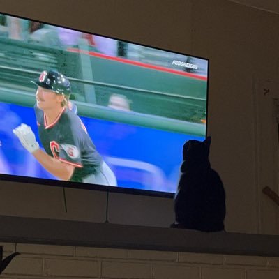 Book slut. Music snob. Aspiring MLB wife. #GuardsBall