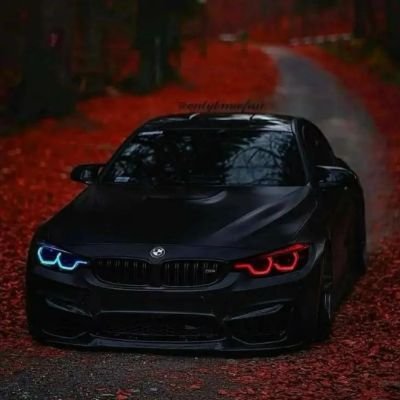 Rajsthantrader's profile picture. Life is short