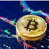 crypto_coyot(followback) (@cryptoonf) 's Twitter Profile