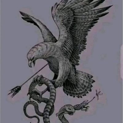 Buzzngle's profile picture. 