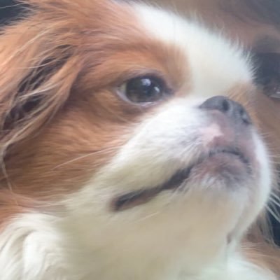 ketaminejimjjim's profile picture. 