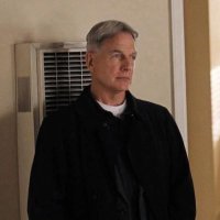 Mark harmon (@markharmont) 's Twitter Profile