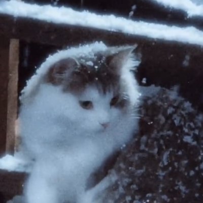 solitary10614's profile picture. 