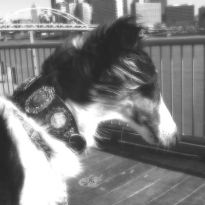 abandoned_dogg's profile picture. Nico 🕯 // idk I draw stuff I like and post random shi -- certified lapdog  / Kemonomimi 🐾