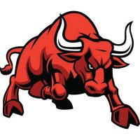 Boğa (@istanbulluboga) Twitter profile photo