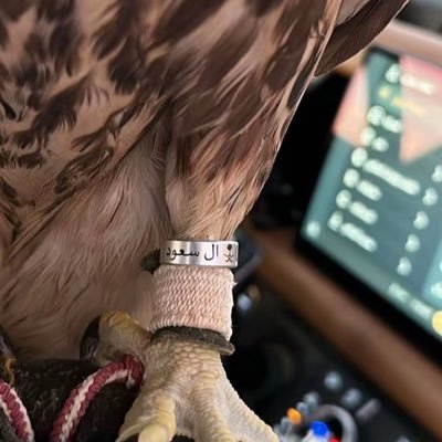 harbiafnan1's profile picture. 