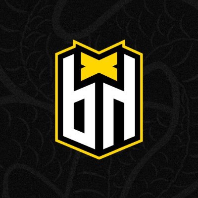 Brazilian eSports Organization 🇧🇷 Hunting bounties around the world. 🖤💛 contact@bhbountyhunters.com