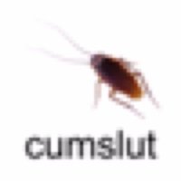- (@dashfaster) 's Twitter Profile
