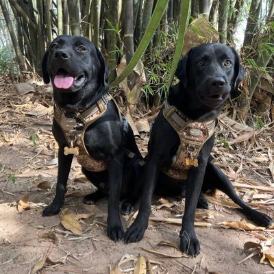_enidkathambi's profile picture. 🐕🦺 Parent || Finance & Investments || Books