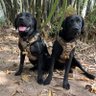 _enidkathambi's profile picture. 🐕🦺 Parent || Finance & Investments || Books
