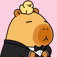 Null (@nulldyor) 's Twitter Profile