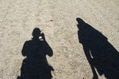 scooter13z's profile picture. 