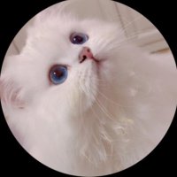 𝐦♡ (@vixxooxx_) 's Twitter Profile