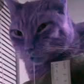 Exotic0015's profile picture. 