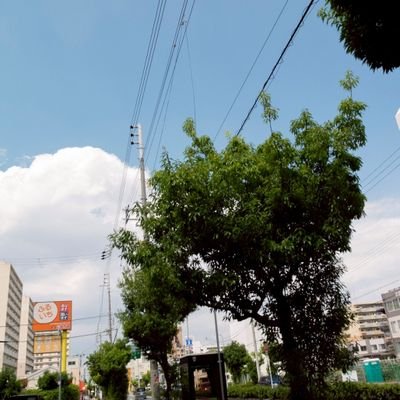 まっちゃ³さんのプロフィール画像