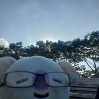 Cherrie (@vchristmas_tree) 's Twitter Profile