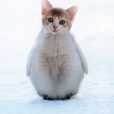 EMRLTT's profile picture. 