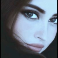 سديـم البـخيـتان (@s_albkhitan) 's Twitter Profile