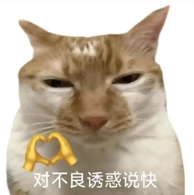 Q6vl2khbuHeBiZR's profile picture. 