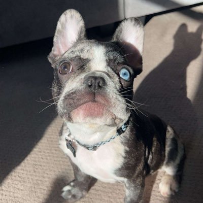 ItsVine Profile