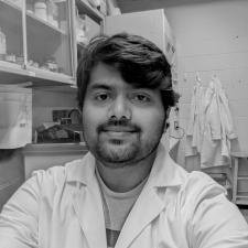 Post-doc @The Ohio State University Plant microbe interactions #Populus microbiome. #Soyabean microbiome #microbe Artist