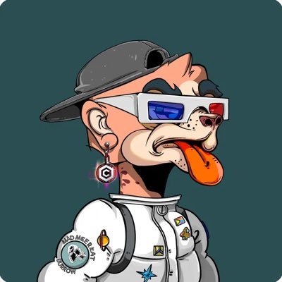 American Hip Hop and Bass Music DJ Discord Moderator @MadMeerkatNFT