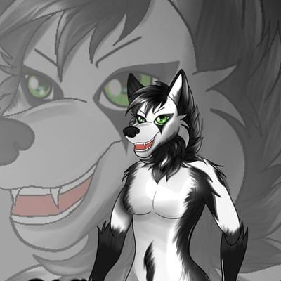 🌸 22 | Furry Lover 🐾
✨ Living in a world of tails & dreams
💌 DM me if you vibe with fluff 🐺
🧸 Cute but chaotic
Artist 🎨✨