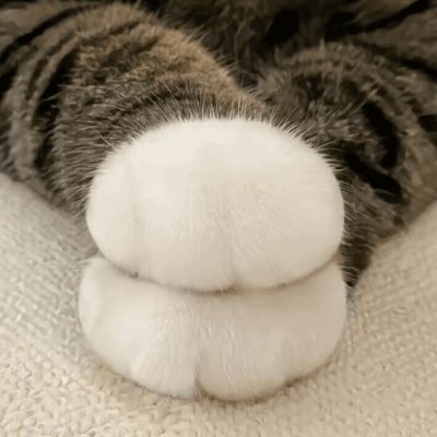 wlaejddl42's profile picture. 로아 일상