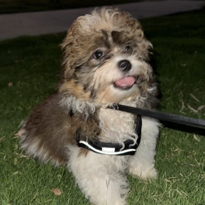 gbyxmta Profile Picture