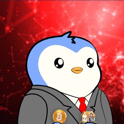 Satoshi Flipper Profile