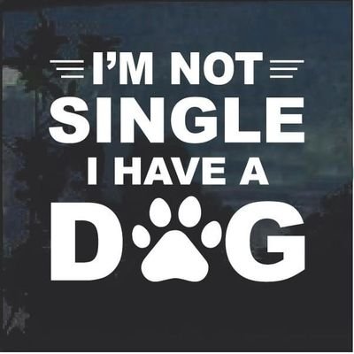 knottybeverly's profile picture. Latest doggo contents and sassy contents 🔞 don't message if you can't handle hot stuff🌈🍑💦
Neueste Doggo-Inhalte und freche Inhalte 🔞🌈🍑💦
             🥰