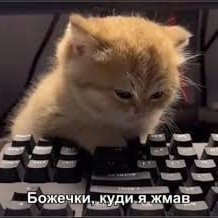 Engineer/Kyiv/21 Ukrainian Since 2025 - Bachelor of Applied Physics Centre-right